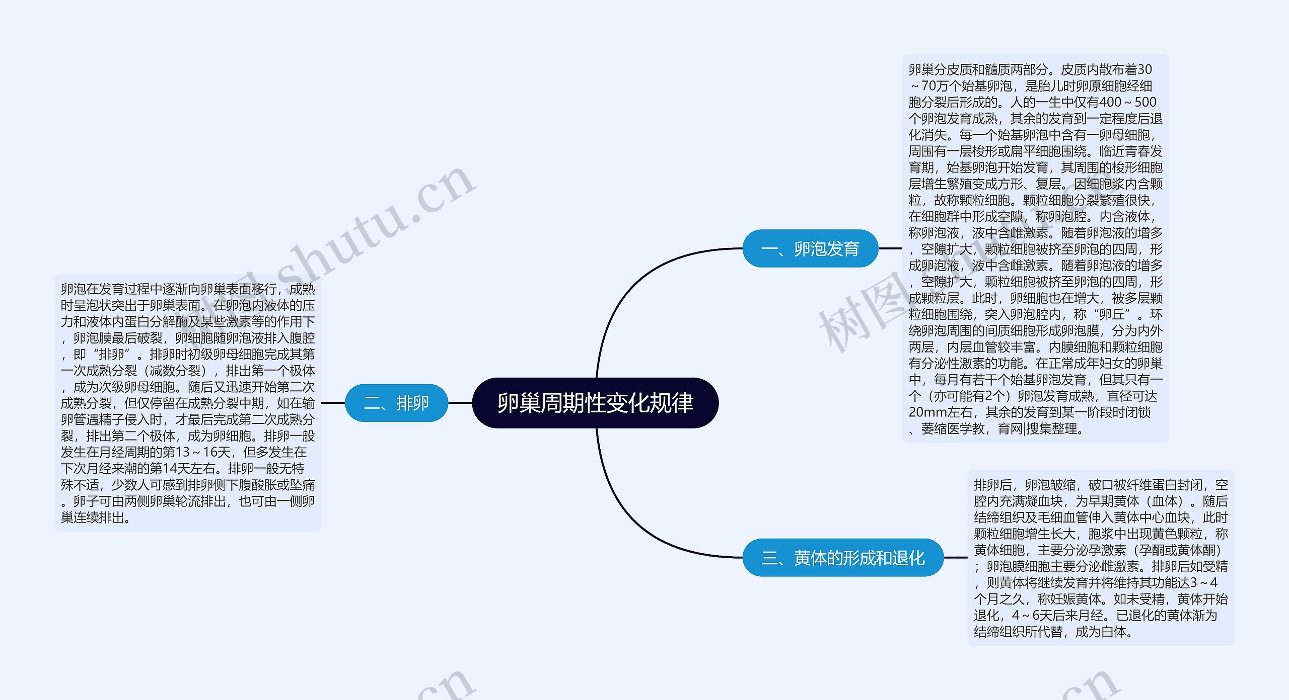 卵巢周期性变化规律思维导图