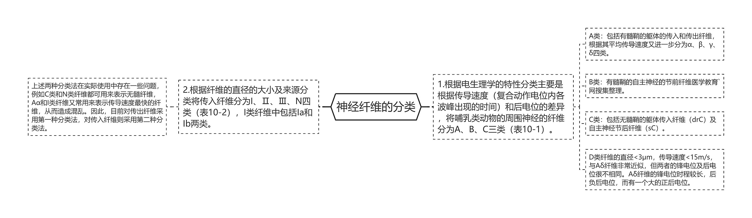 神经纤维的分类思维导图