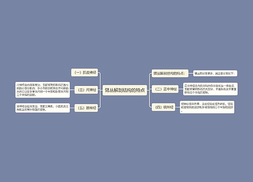 臂丛解剖结构的特点