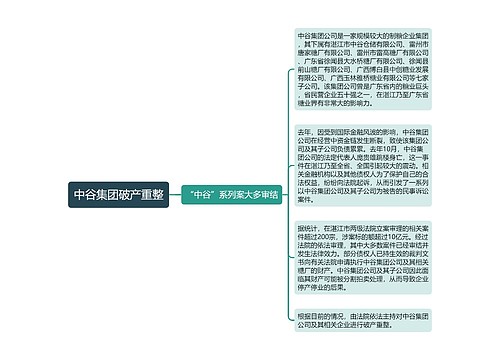 中谷集团破产重整