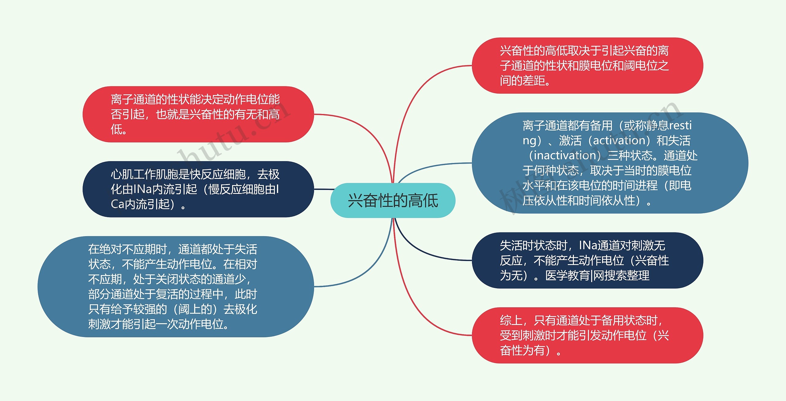 兴奋性的高低思维导图