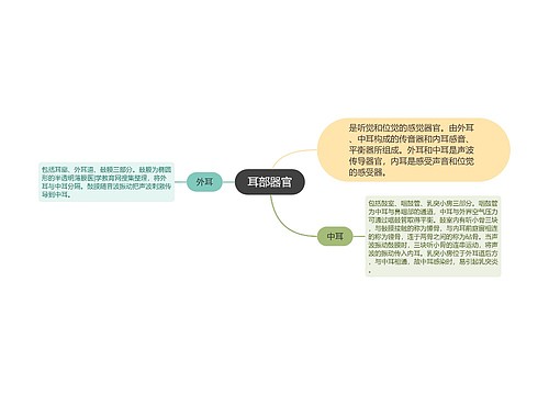 耳部器官思维导图