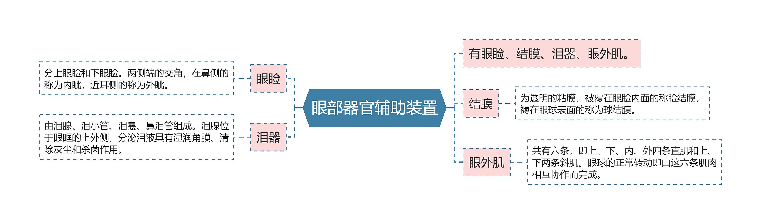 眼部器官辅助装置思维导图