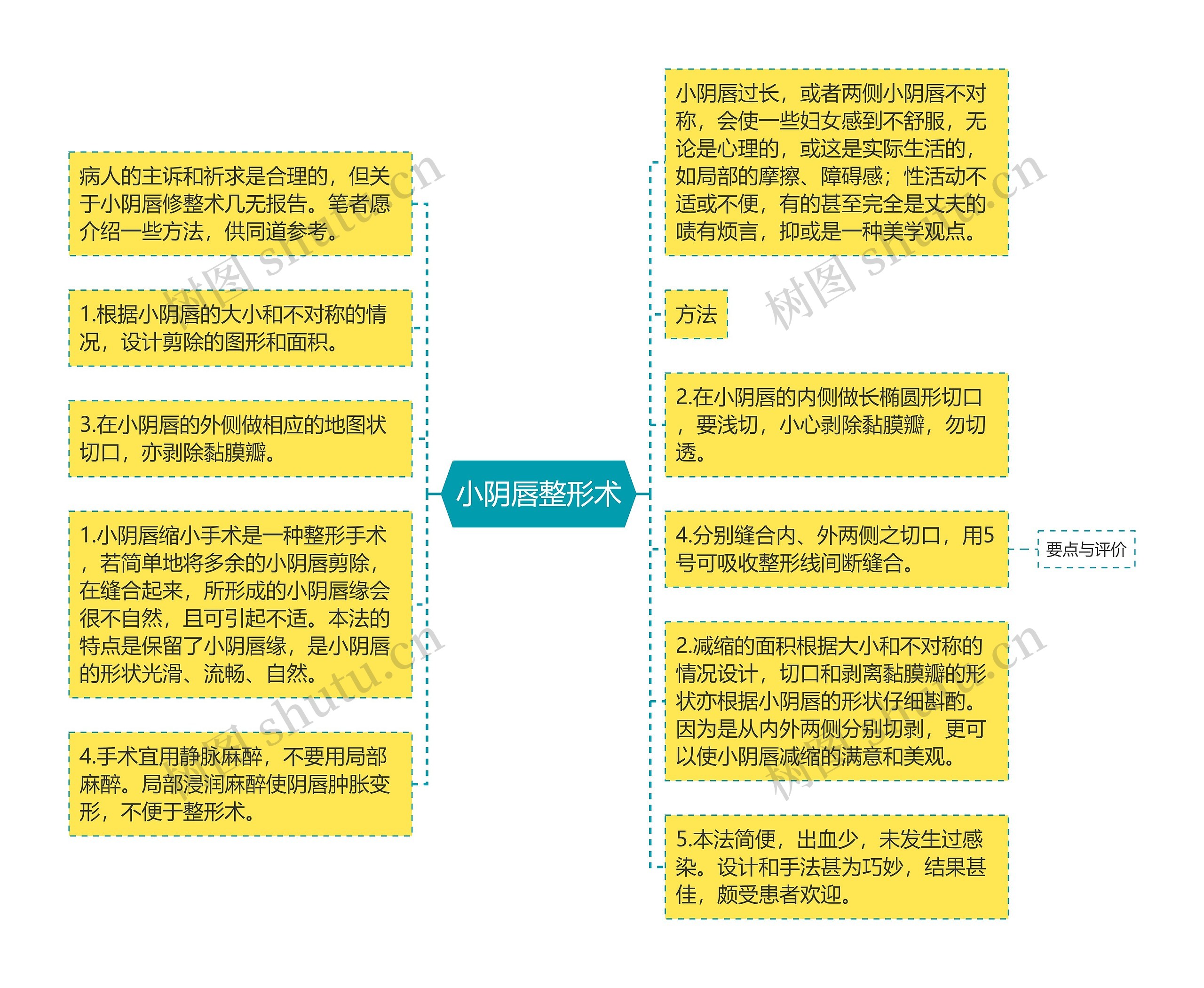 小阴唇整形术 小阴唇整形术
