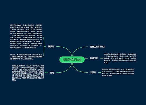 胃壁的组织结构