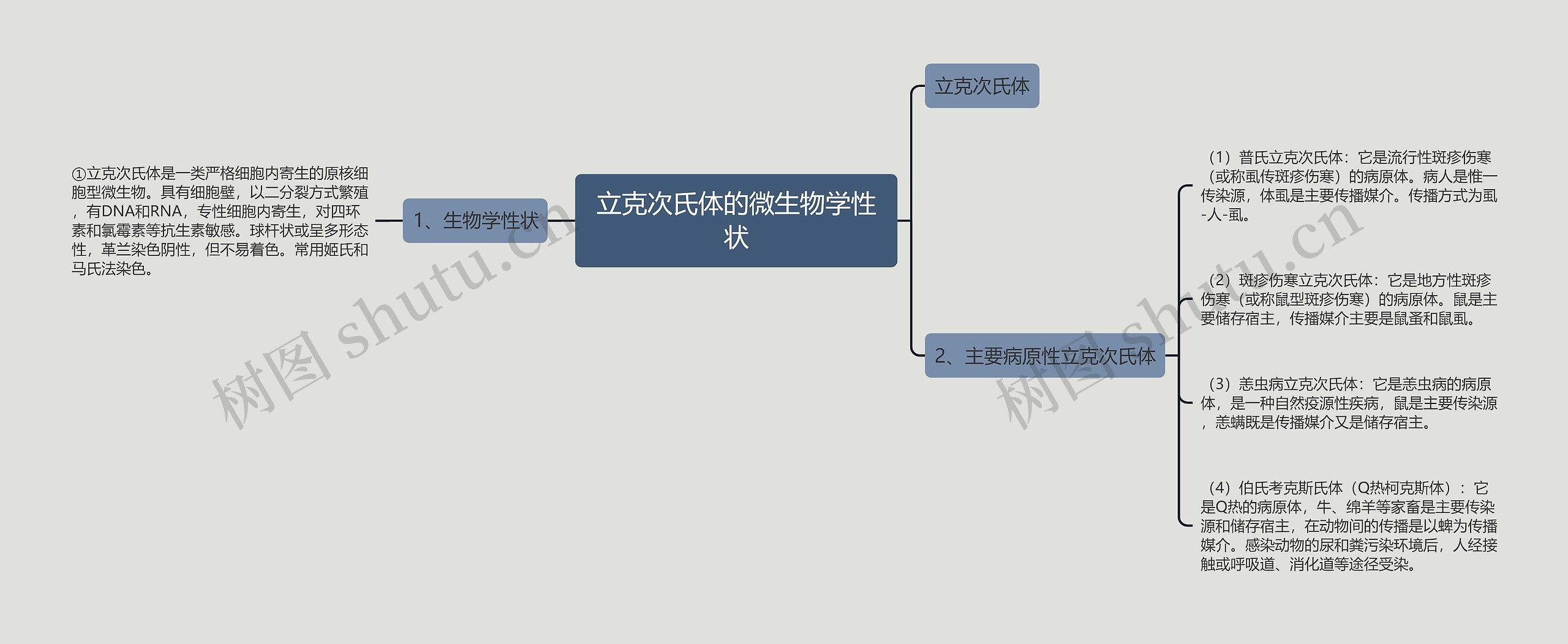 立克次氏体的微生物学性状思维导图