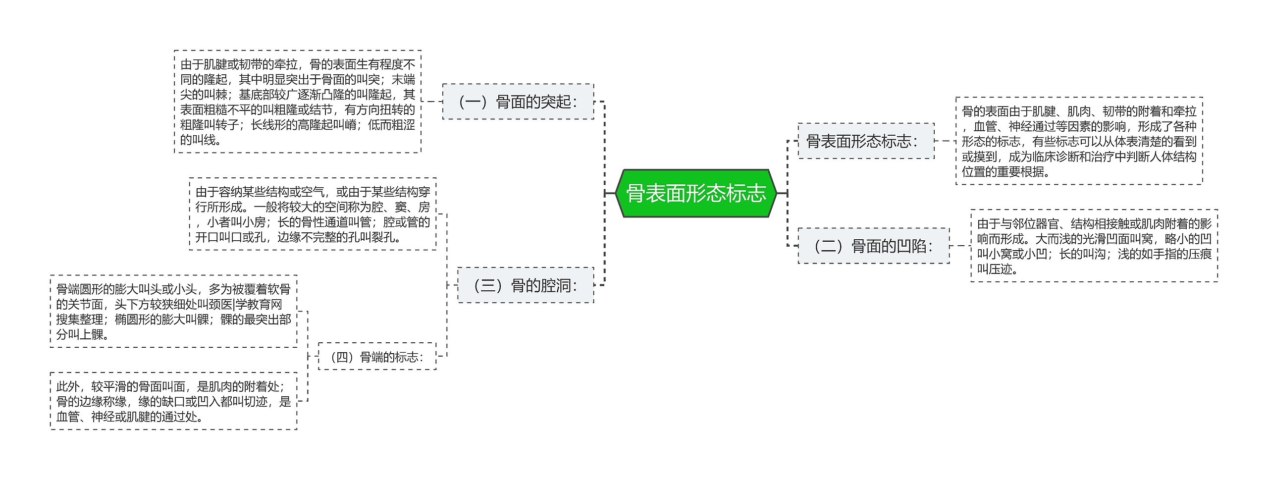 骨表面形态标志思维导图