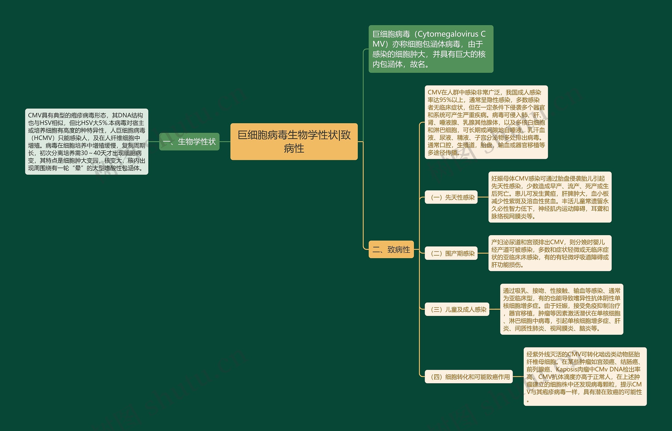 巨细胞病毒生物学性状|致病性 巨细胞病毒生物学性状|致病性