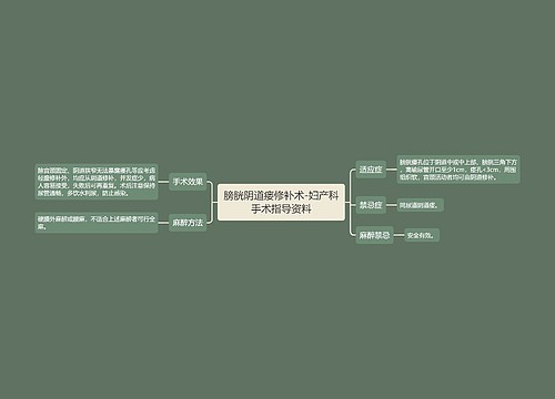 膀胱阴道瘘修补术-妇产科手术指导资料