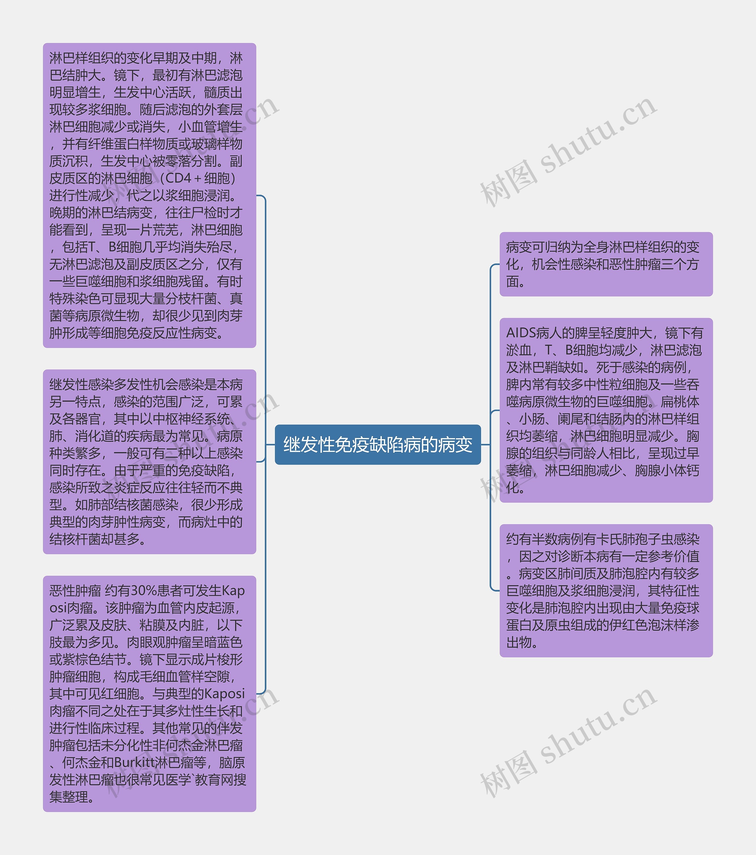 继发性免疫缺陷病的病变思维导图