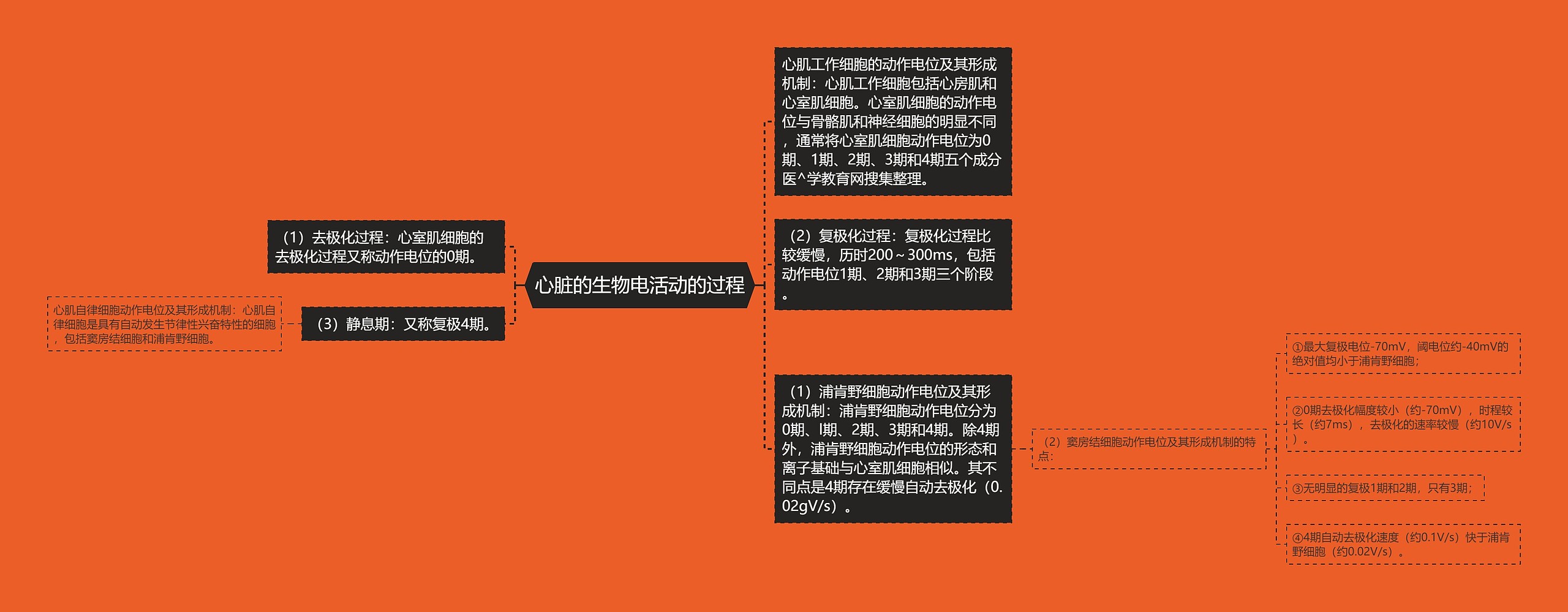 心脏的生物电活动的过程思维导图