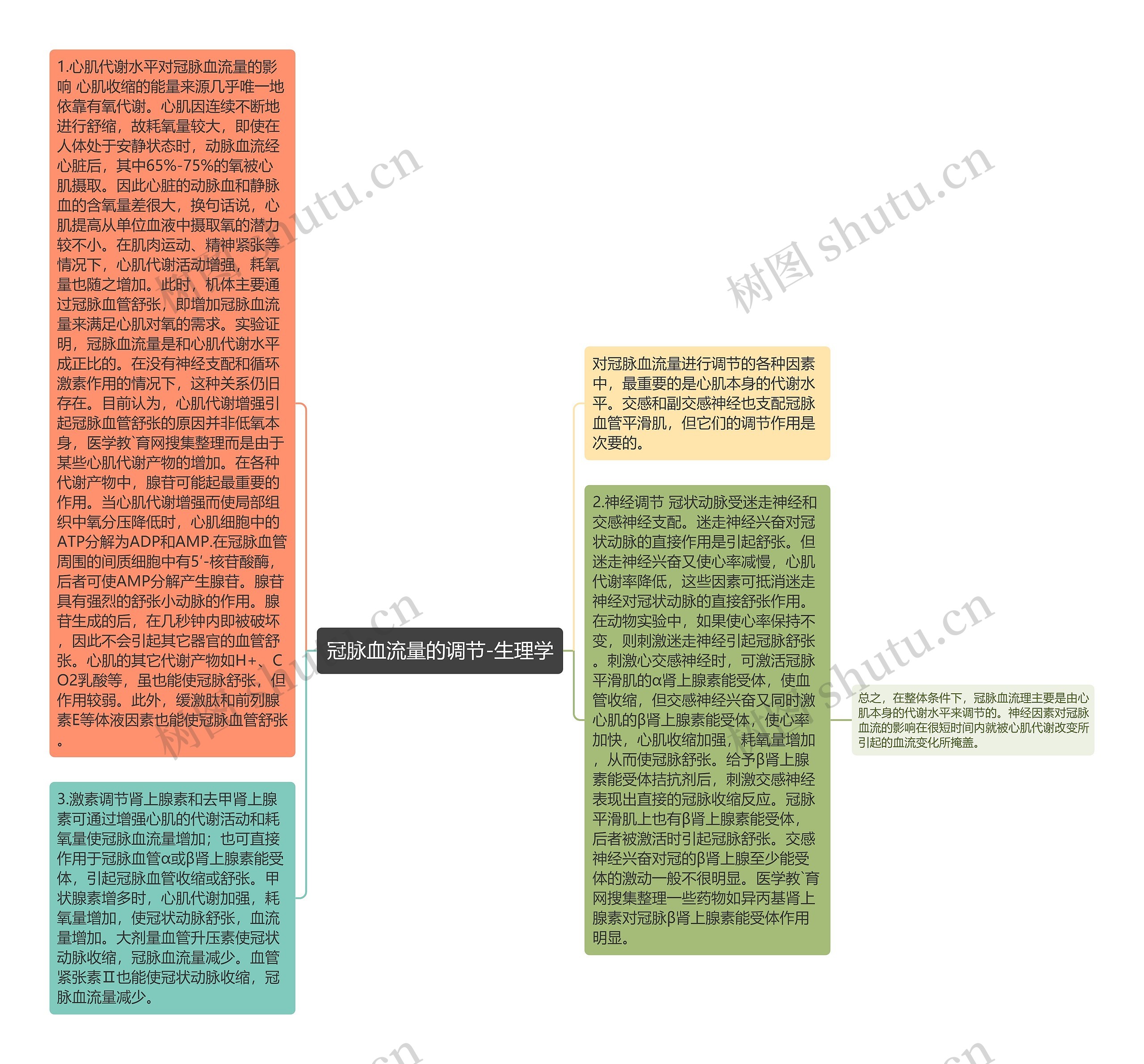 冠脉血流量的调节-生理学思维导图