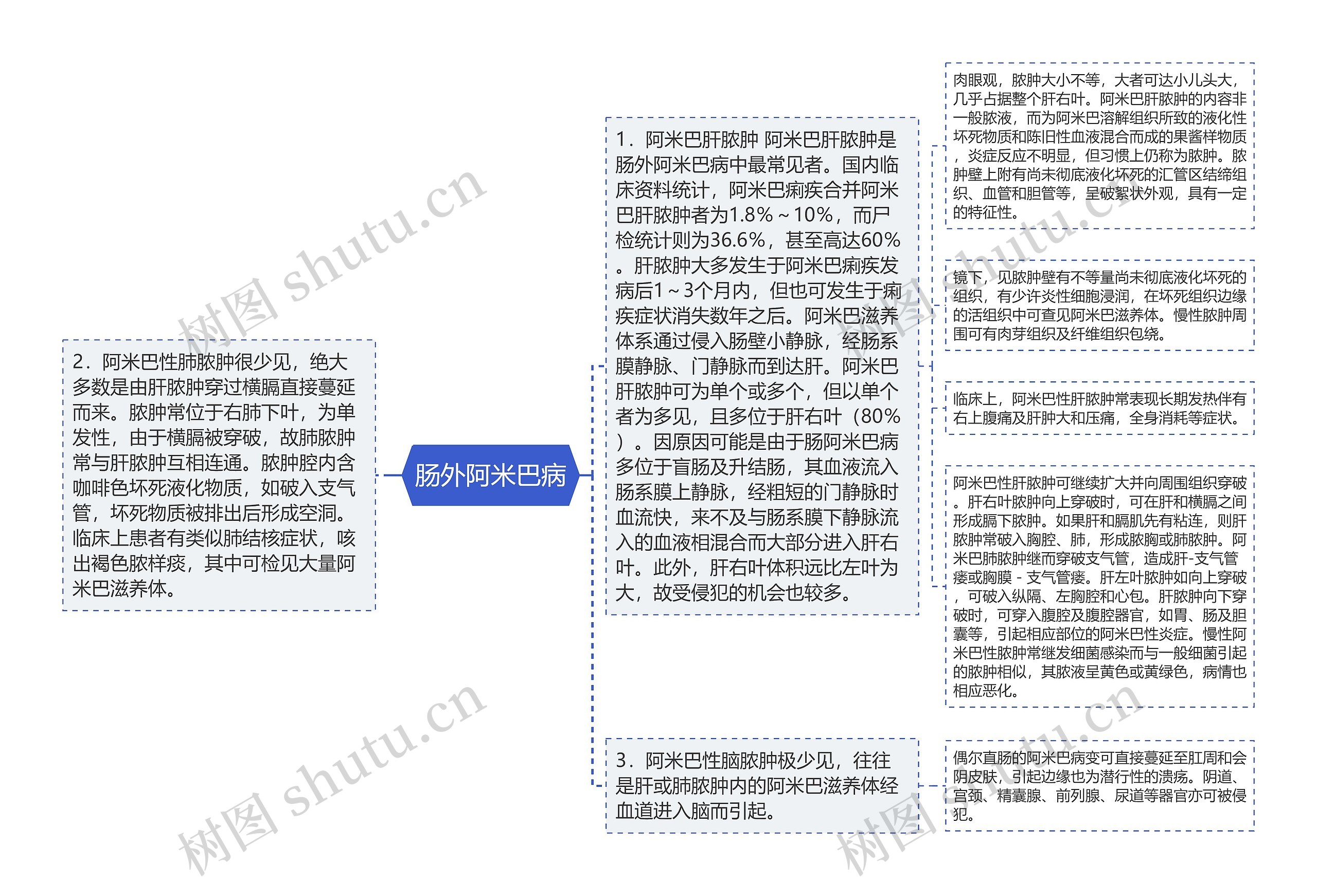 肠外阿米巴病思维导图