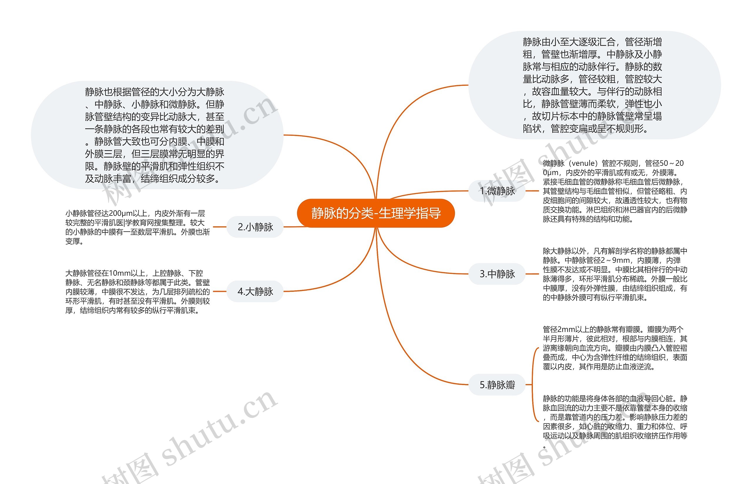 静脉的分类-生理学指导