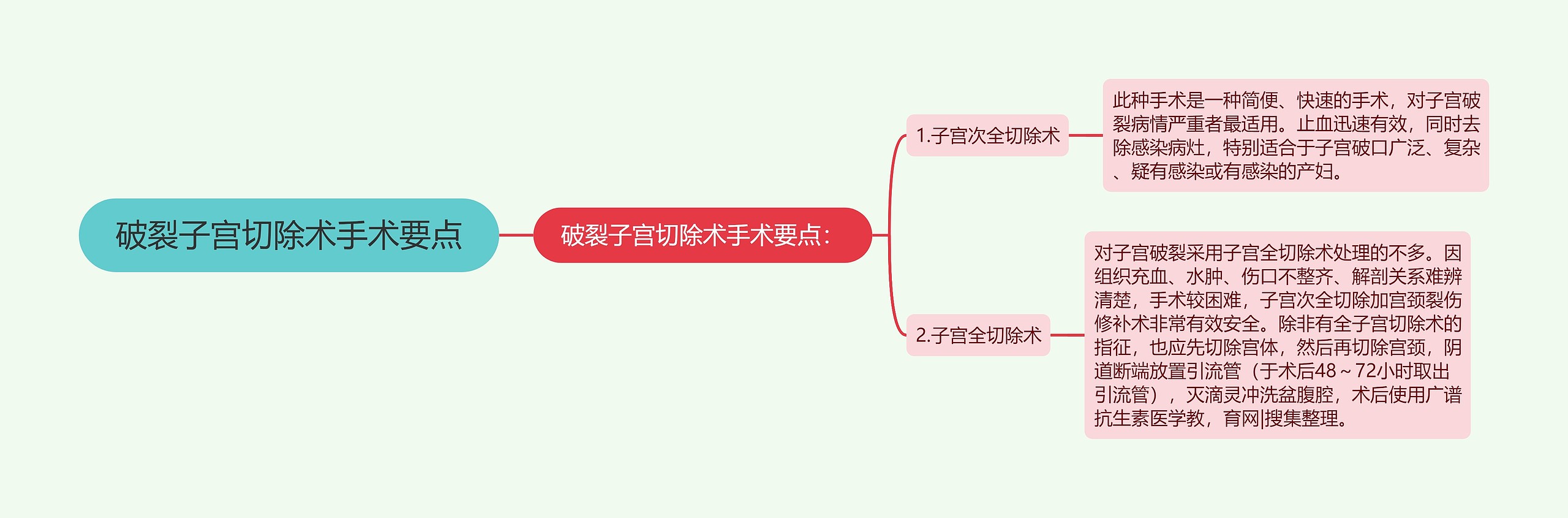 破裂子宫切除术手术要点思维导图