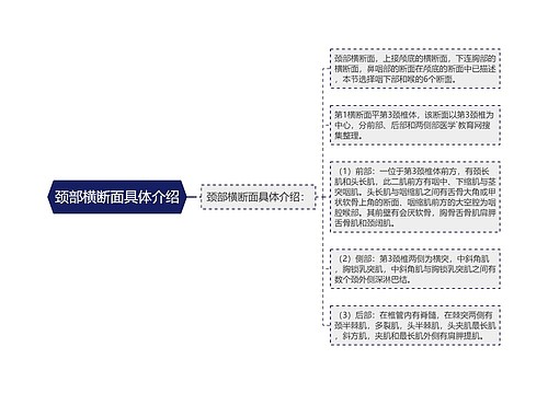 颈部横断面具体介绍