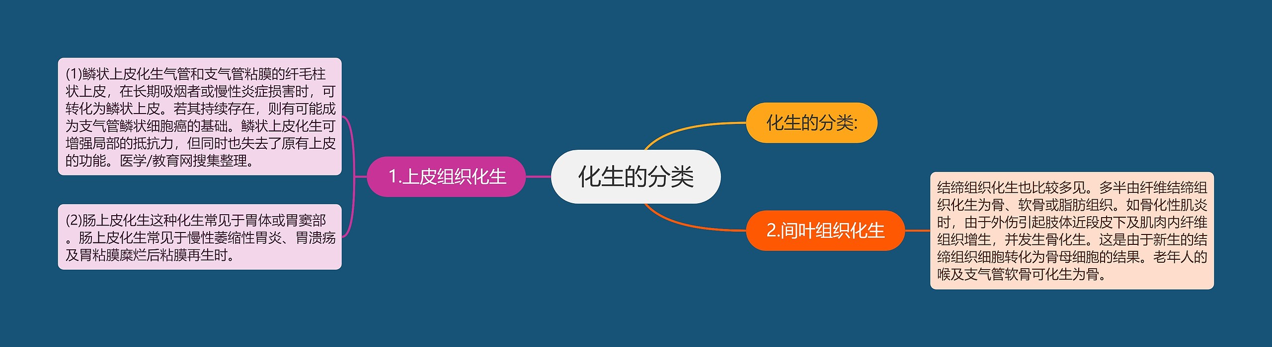 化生的分类 化生的分类