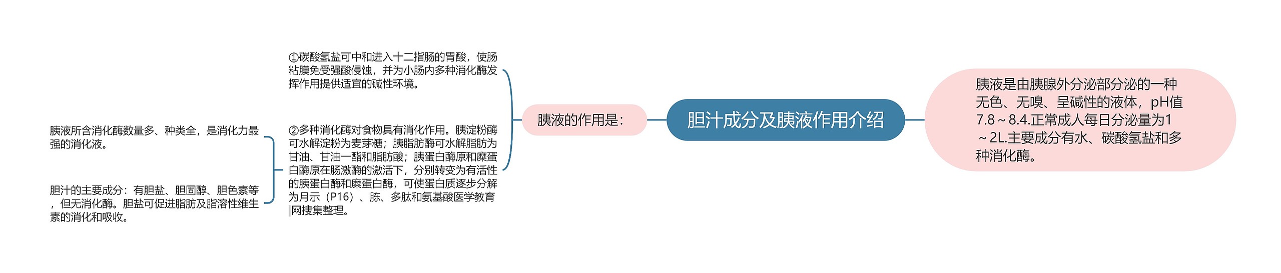 胆汁成分及胰液作用介绍思维导图