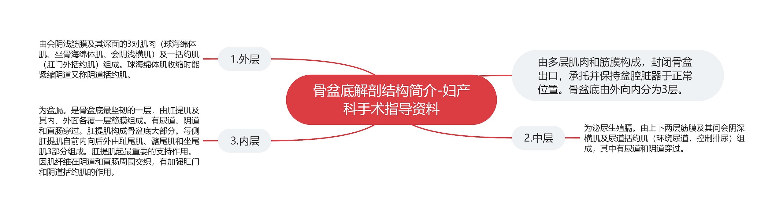 骨盆底解剖结构简介-妇产科手术指导资料 骨盆底解剖结构简介-妇产科手术指导资料