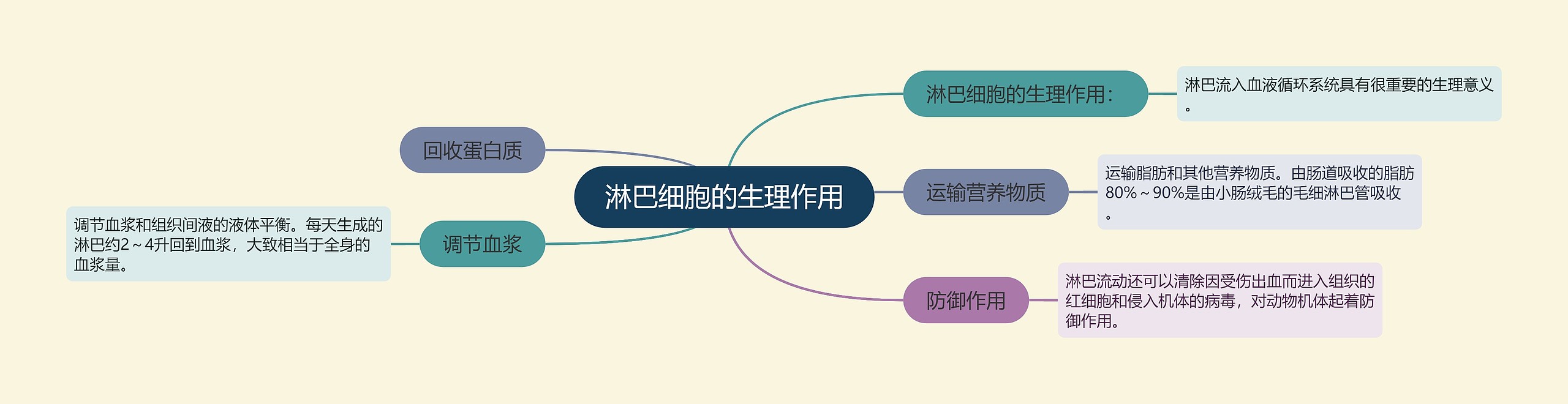 淋巴细胞的生理作用 淋巴细胞的生理作用