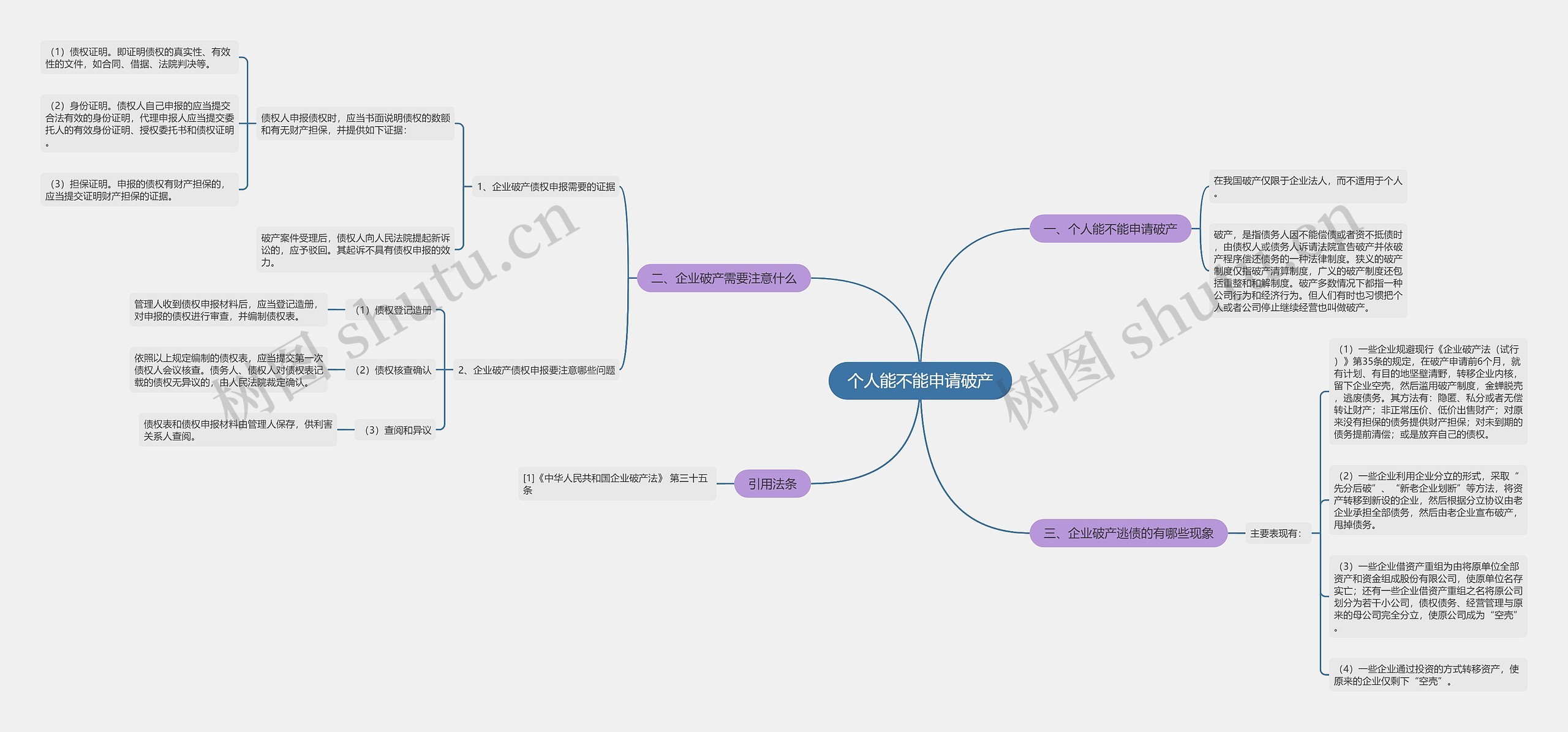 个人能不能申请破产思维导图