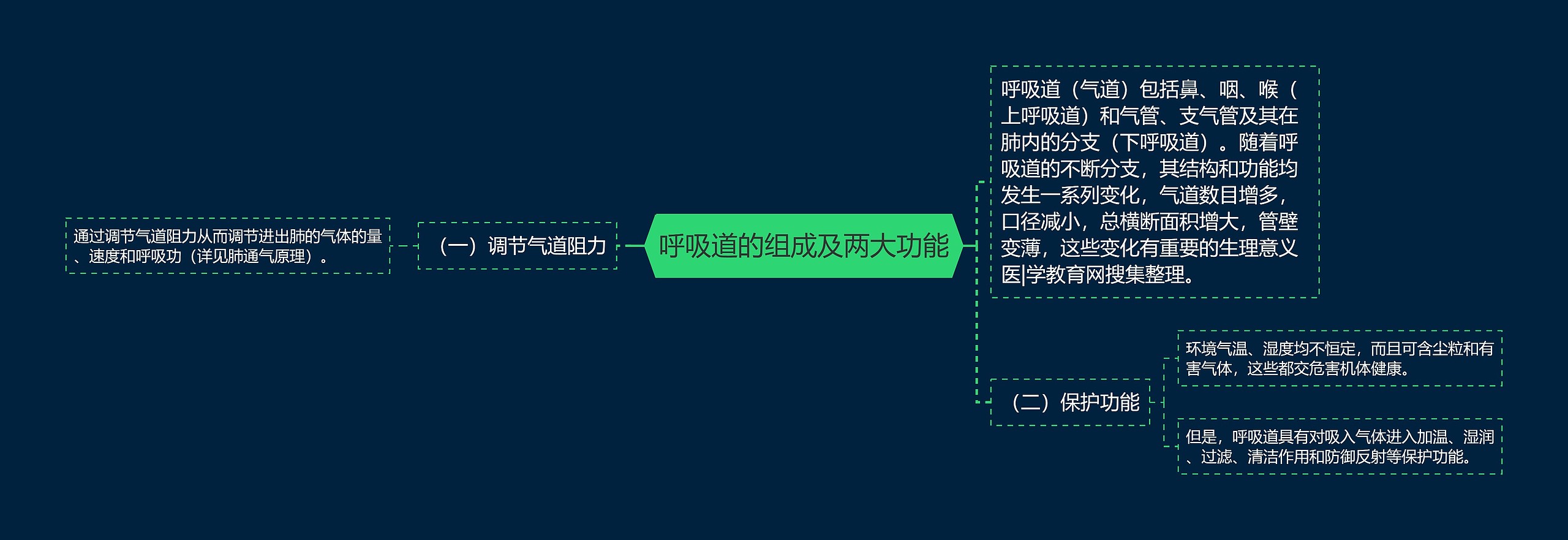 呼吸道的组成及两大功能 呼吸道的组成及两大功能