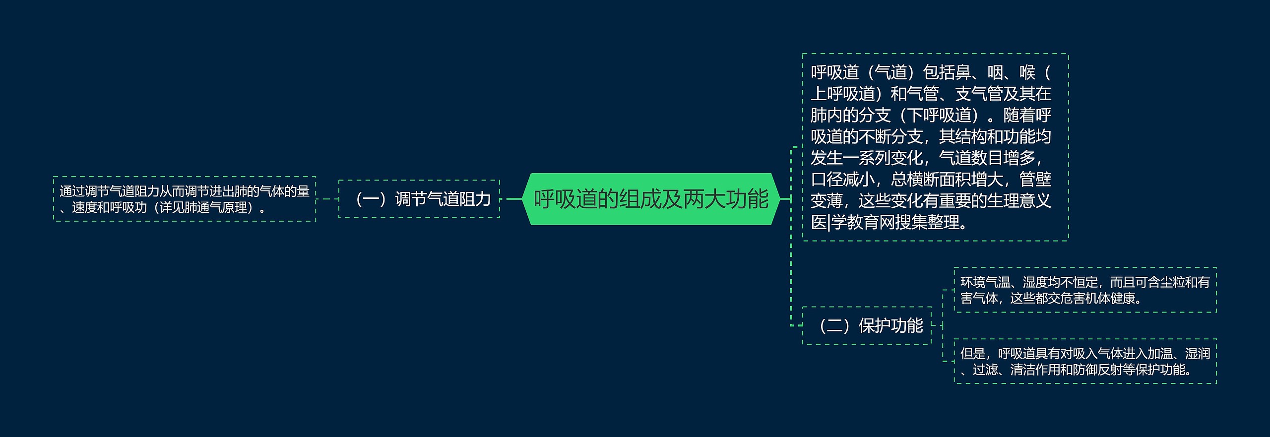 呼吸道的组成及两大功能思维导图