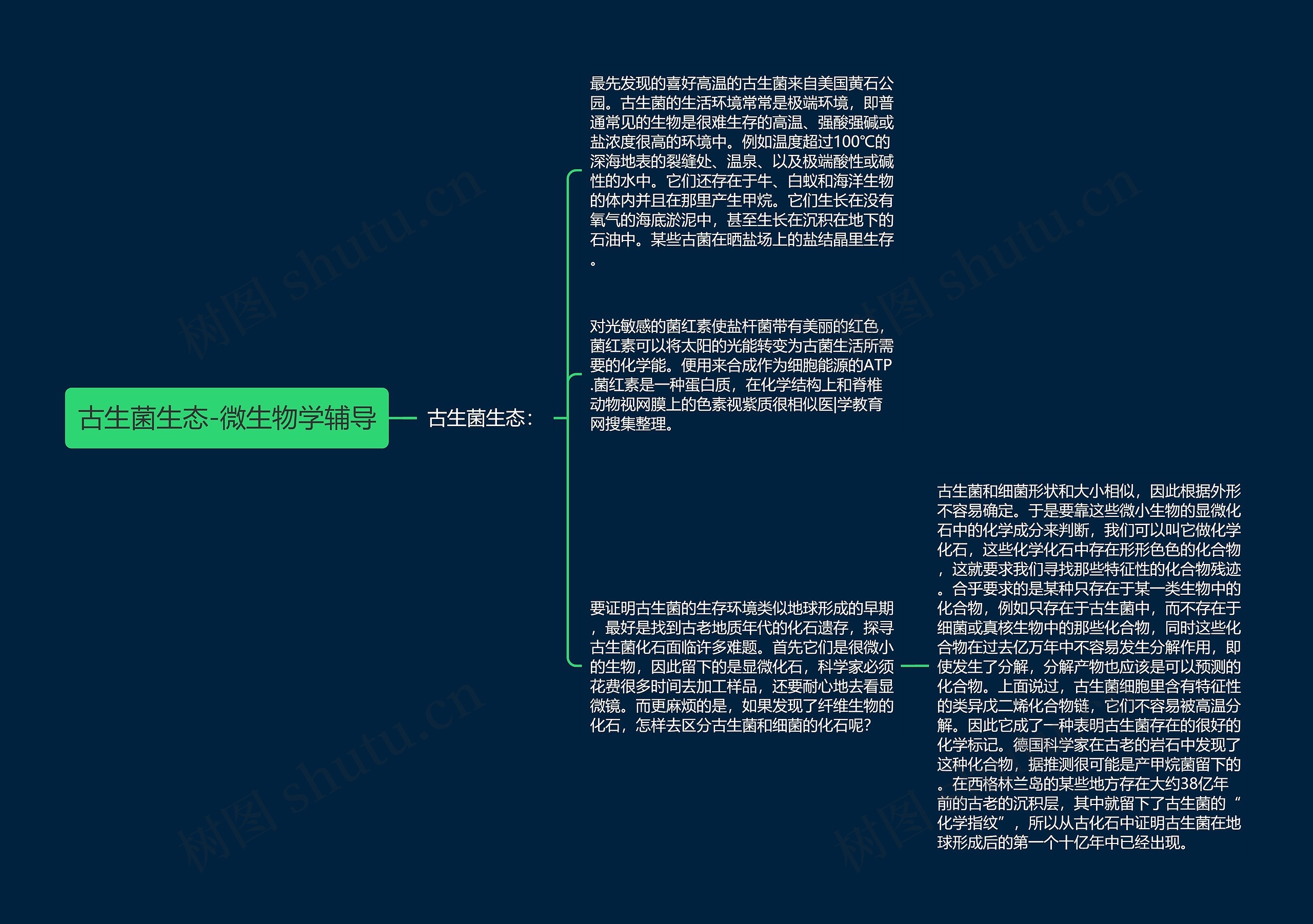 古生菌生态-微生物学辅导思维导图