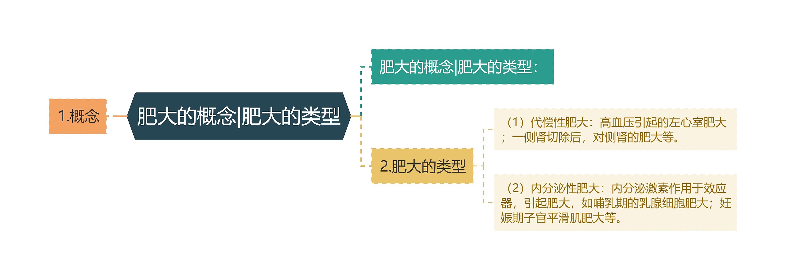 肥大的概念|肥大的类型思维导图