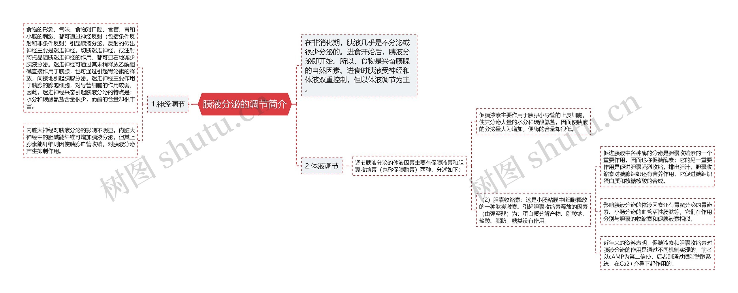 胰液分泌的调节简介思维导图