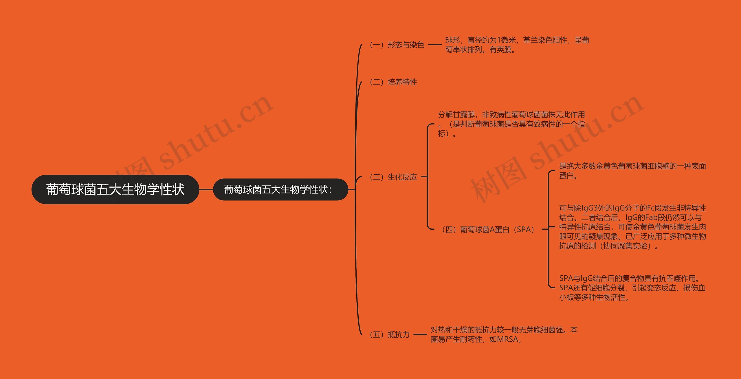 葡萄球菌五大生物学性状 葡萄球菌五大生物学性状