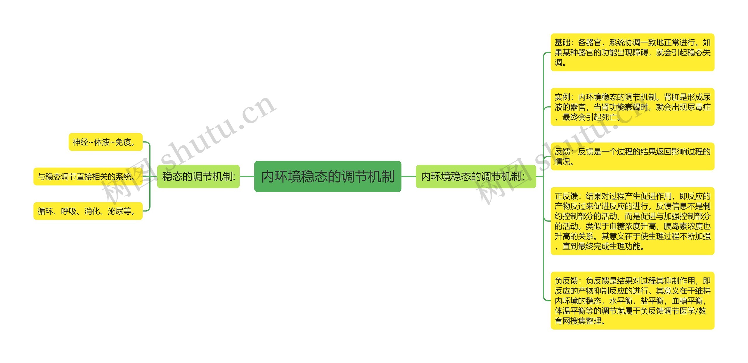 内环境稳态的调节机制思维导图