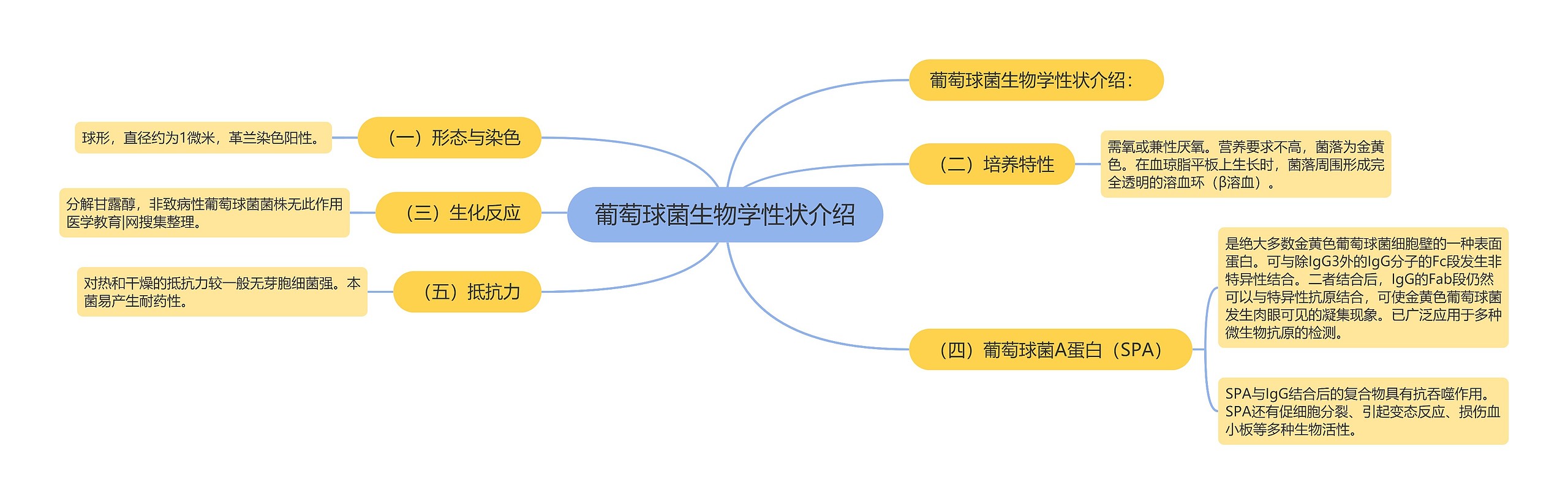 葡萄球菌生物学性状介绍思维导图