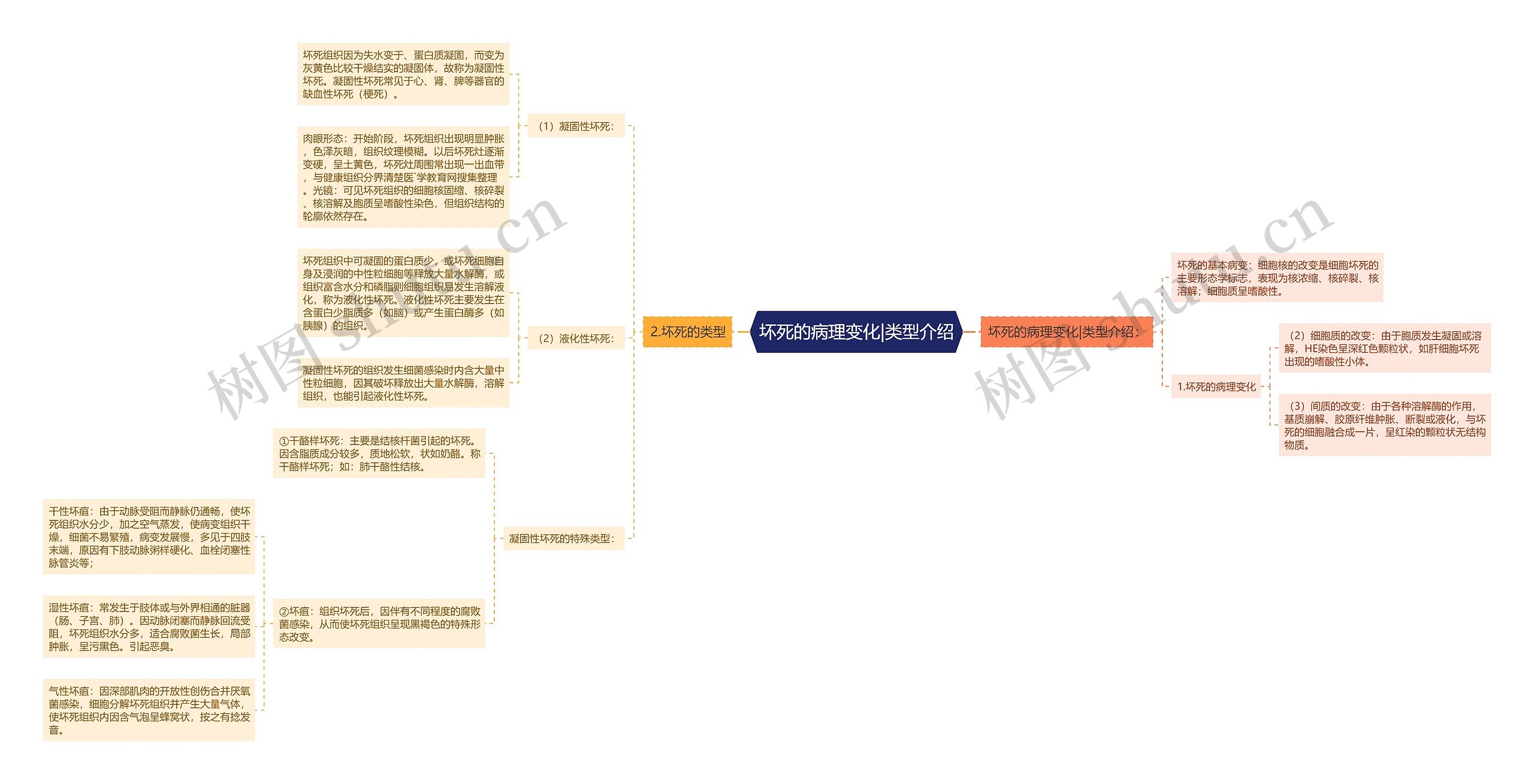 坏死的病理变化|类型介绍思维导图