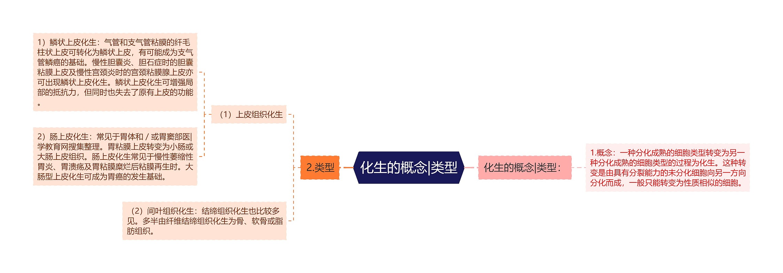 化生的概念|类型思维导图