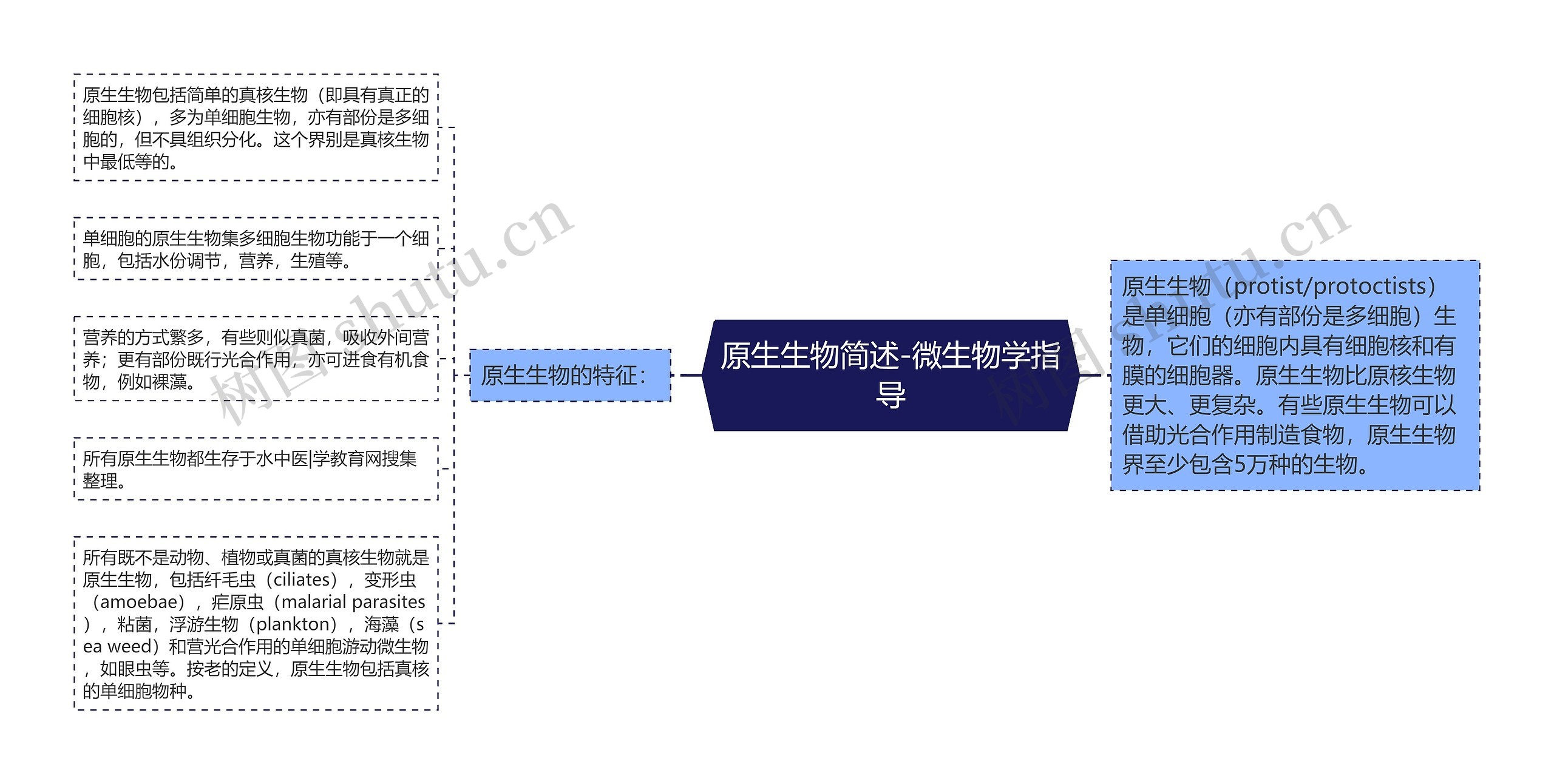 原生生物简述-微生物学指导思维导图高清图 原生生物简述-微生物学指导思维导图