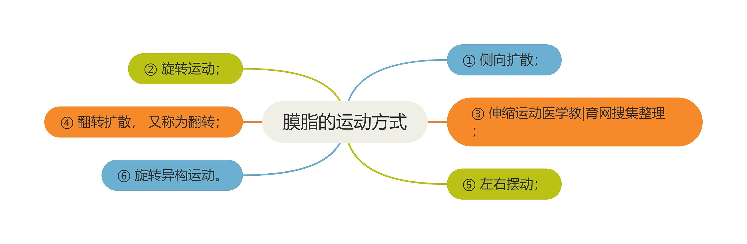 膜脂的运动方式