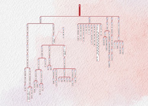 红楼梦家族族谱关系图