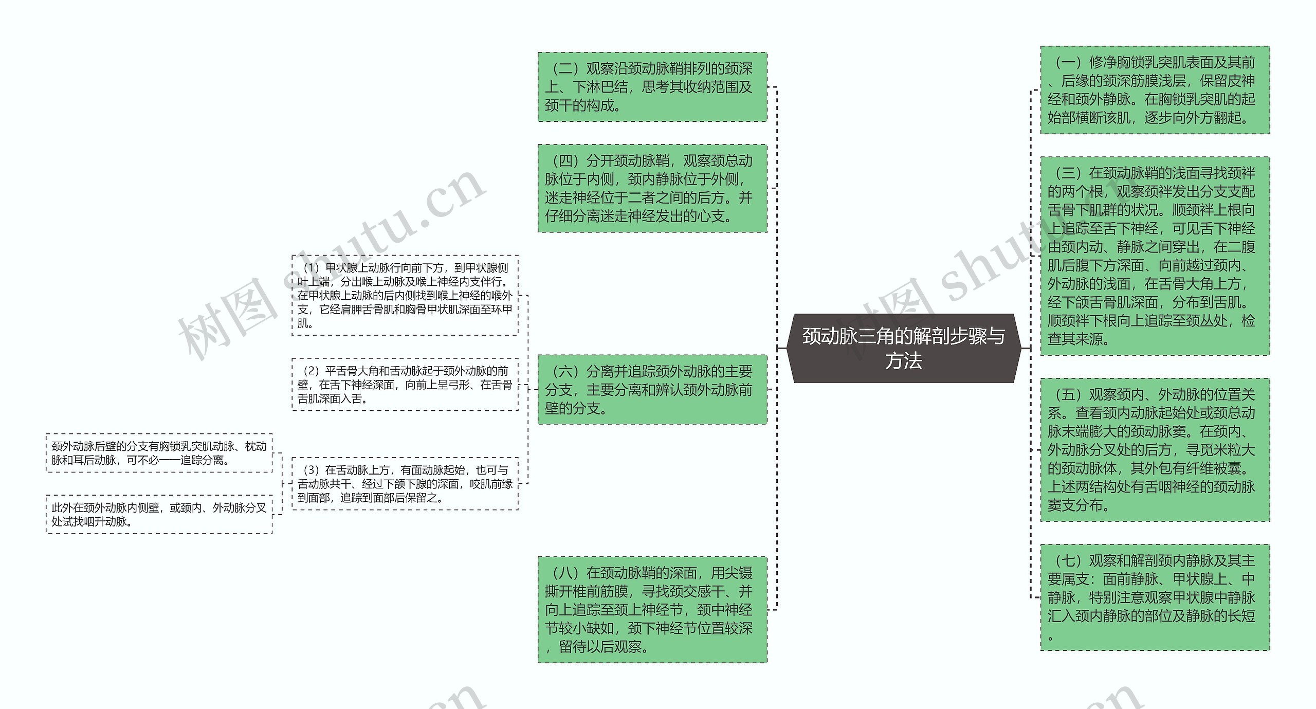 颈动脉三角的解剖步骤与方法思维导图