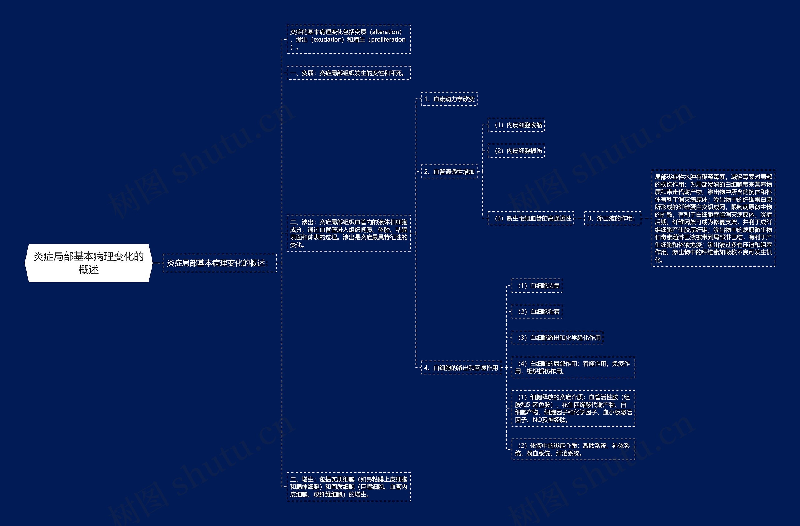 炎症局部基本病理变化的概述思维导图