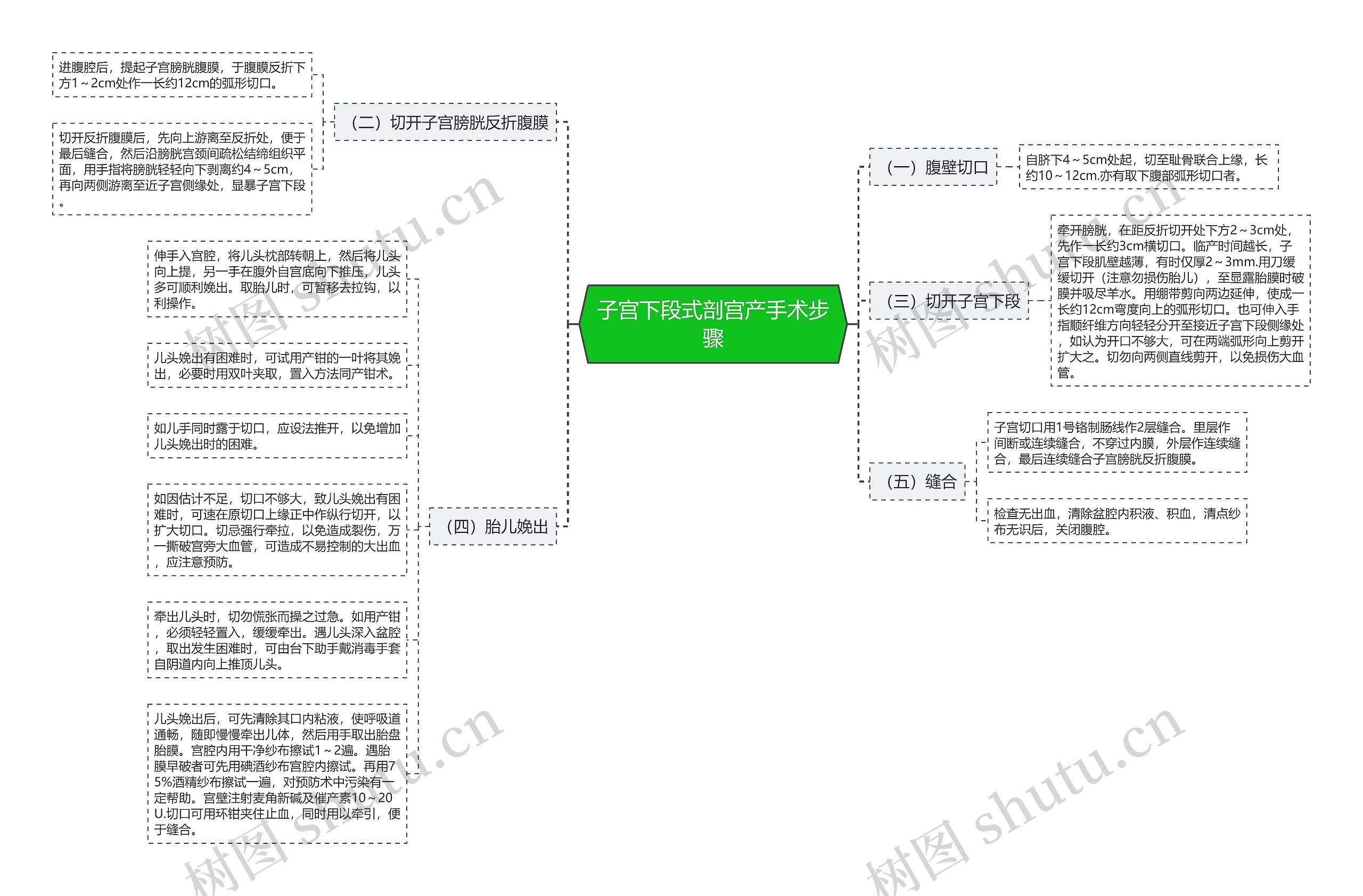 子宫下段式剖宫产手术步骤思维导图