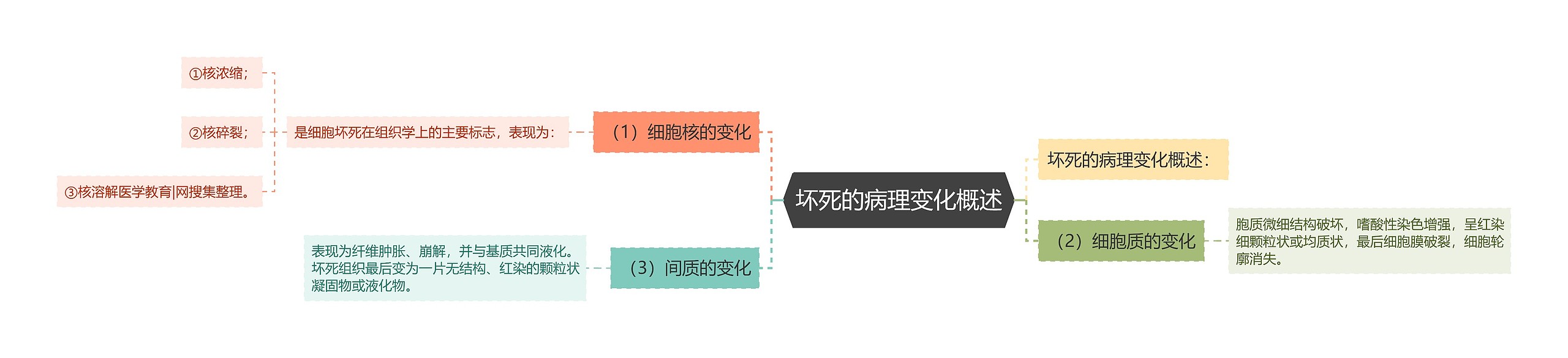 坏死的病理变化概述思维导图