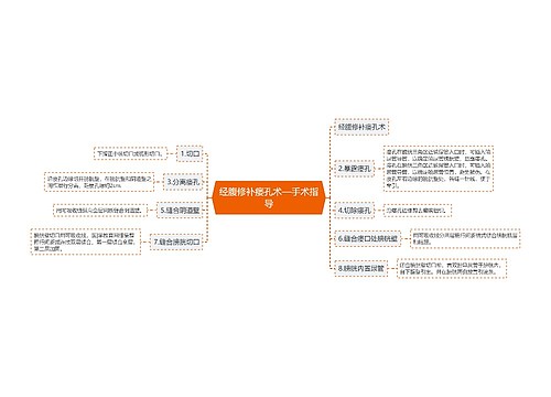 经腹修补瘘孔术—手术指导