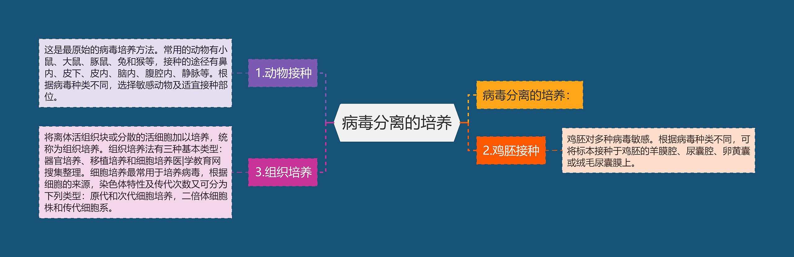 病毒分离的培养 病毒分离的培养