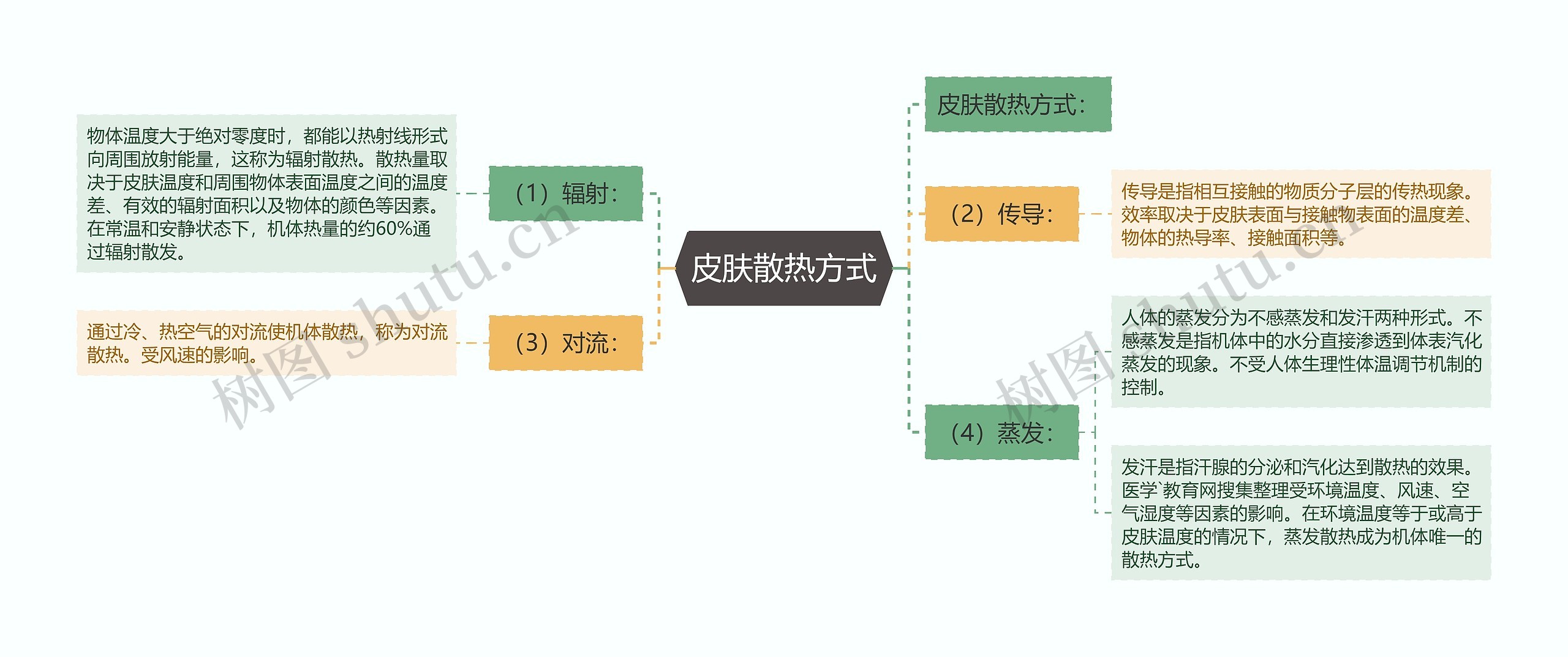 皮肤散热方式思维导图