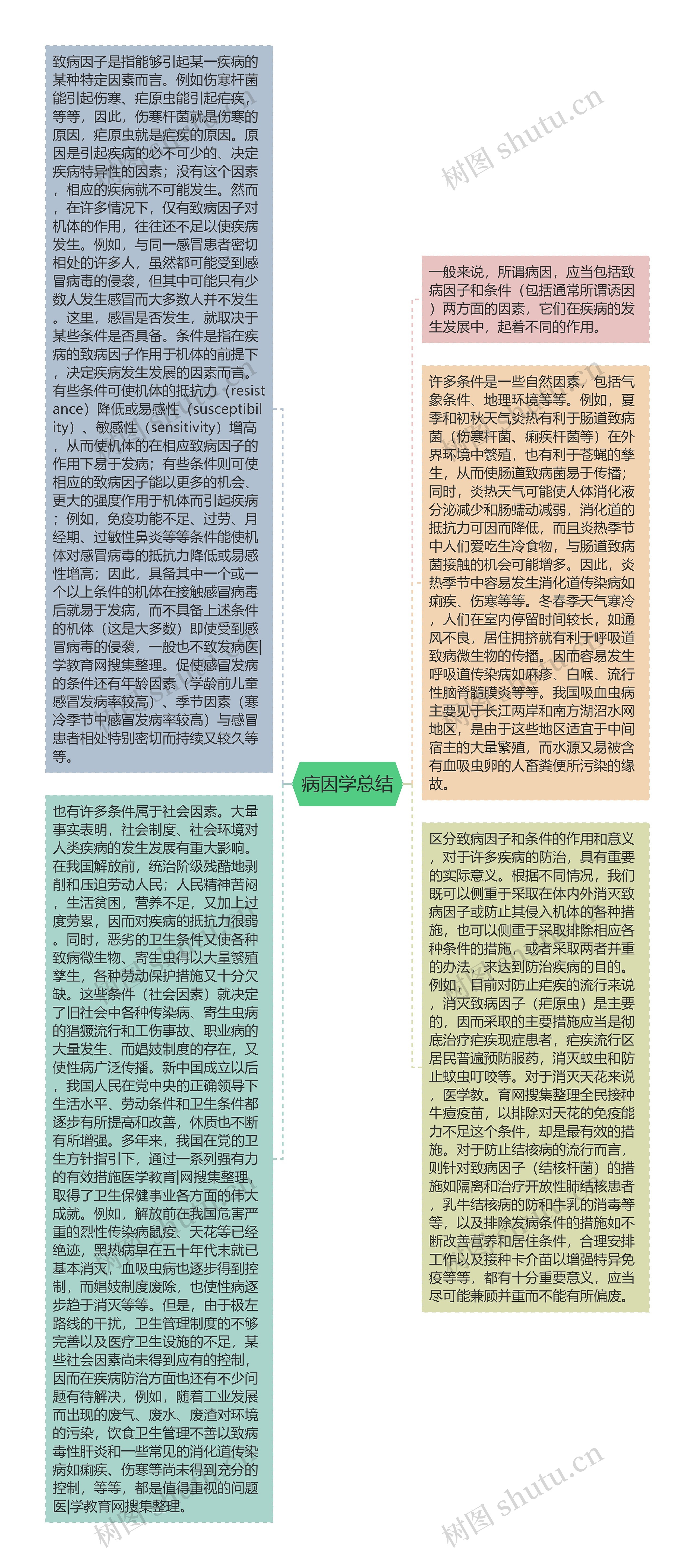 病因学总结思维导图