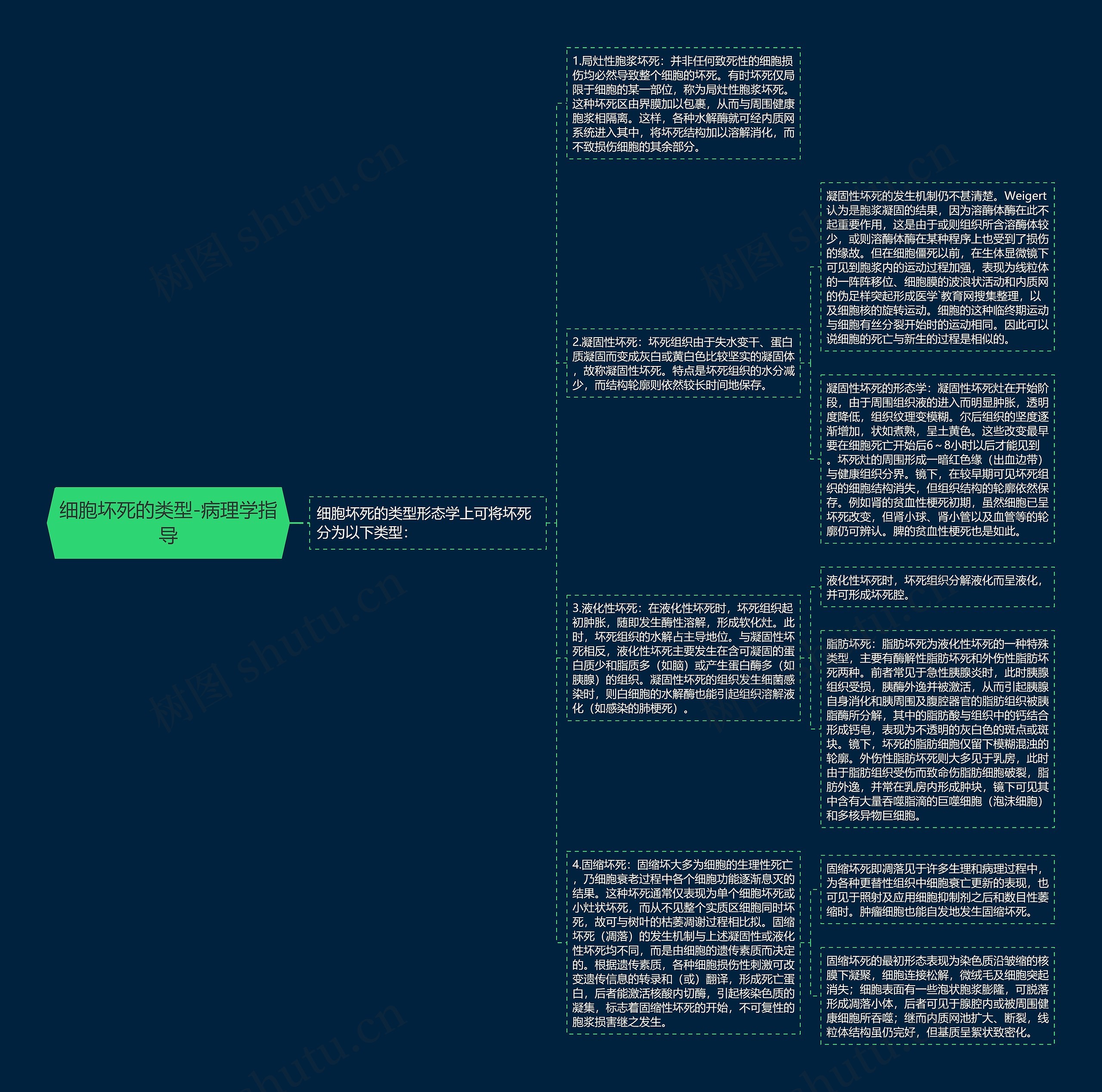 细胞坏死的类型-病理学指导思维导图