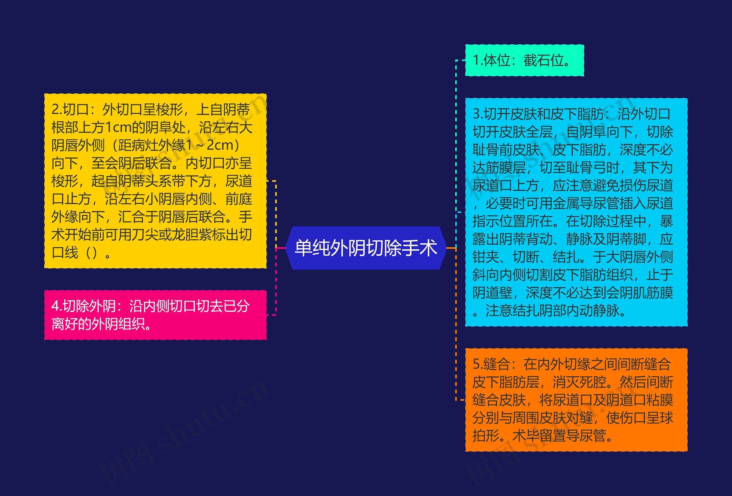 单纯外阴切除手术 单纯外阴切除手术