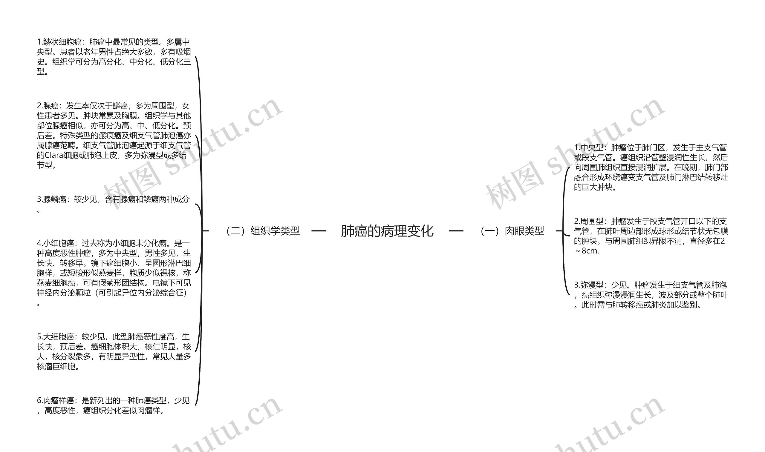 肺癌的病理变化思维导图