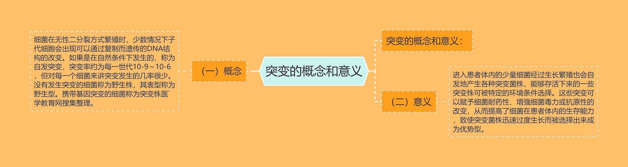 突变的概念和意义 突变的概念和意义